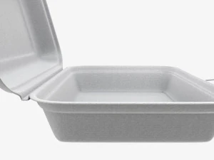 Take-out lunch polystyrene box 03 3D Model