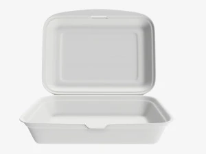 Take-out lunch polystyrene box 03 3D Model