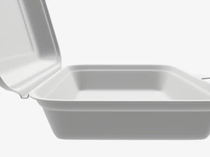 Take-out lunch polystyrene box 03 3D Model