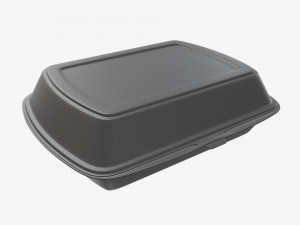 Take-out lunch polystyrene box 04 closed 3D Model