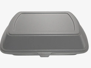 Take-out lunch polystyrene box 04 closed 3D Model