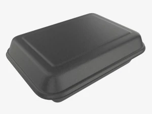 Take-out lunch polystyrene box 05 closed 3D Model
