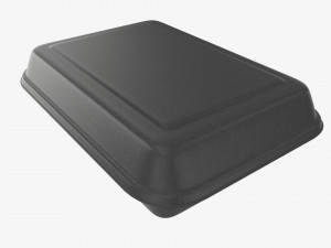 Take-out lunch polystyrene box 05 closed Model 3D