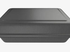 Take-out lunch polystyrene box 05 closed 3D Model