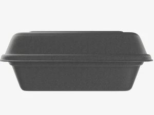 Take-out lunch polystyrene box 05 closed 3D Model