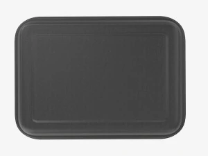 Take-out lunch polystyrene box 05 closed 3D Model