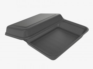 Take-out lunch polystyrene box 06 3D Model