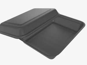 Take-out lunch polystyrene box 06 3D Model