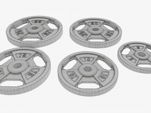 Weight plate set 05 3D Model