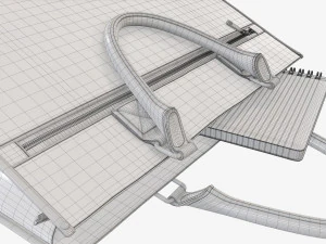 Borsa da viaggio valigetta da donna a terra Modello 3D