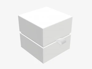 Papieren geschenkdoos met riemmodel 02 3D Model