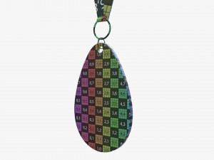 Sports medal mockup 02 Modello 3D