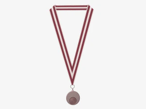 Mockup di medaglia sportiva 05 Modello 3D