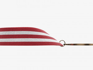 Sports medal mockup 08 3D Model