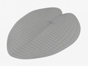 Water lily green leaf 3D Model