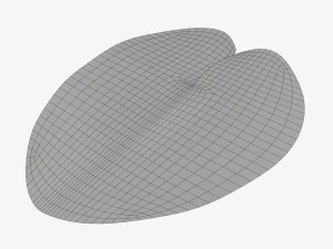 Water lily green leaf 3D Model