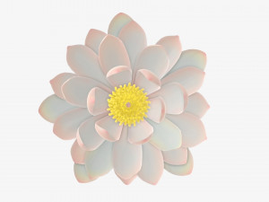 Water lily white flower 3D Model