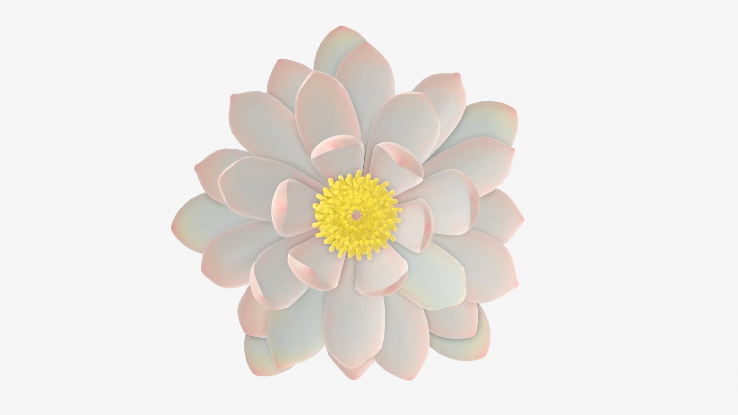 Water lily white flower 3D Model in Flowers 3DExport