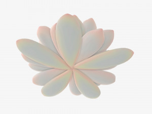 Water lily white flower 3D Model