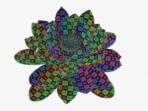 Water lily white flower 3D Model