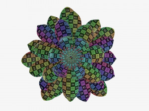 Water lily white flower 3D Model