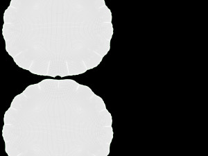 Decoration foil balloon 07 Lion Modello 3D