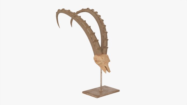 Animal Skull Statuette 3D 모델 .c4d .max .obj .3ds .fbx .stl .blend 