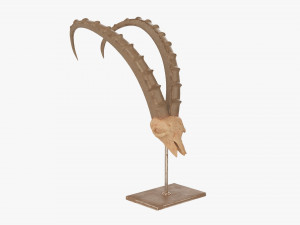 Animal Skull Statuette 3D 模型