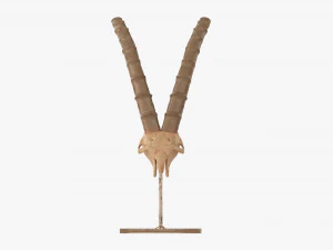 Animal Skull Statuette 3D Model