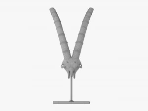 Animal Skull Statuette 3D Model