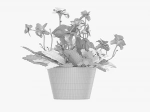 Artificial Potted Plant 01 3D Model