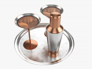 Cocktail With Shaker On Tray Model 3D