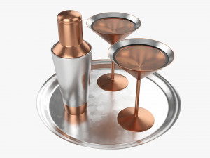 Cocktail With Shaker On Tray Model 3D