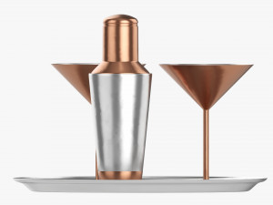 Cocktail With Shaker On Tray Model 3D