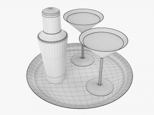Cocktail With Shaker On Tray Model 3D