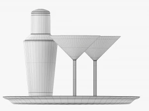 Cocktail With Shaker On Tray 3D Model