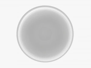 Coffee Mug Without Handle 01 3D Model