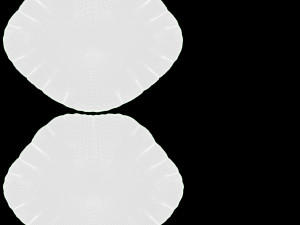 Lips Foil Balloon Modèle 3D
