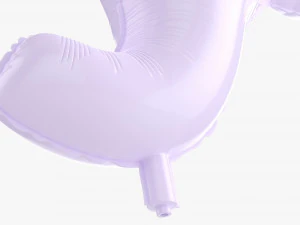 Decoration Foil Balloon 10 Elephant 3D Model