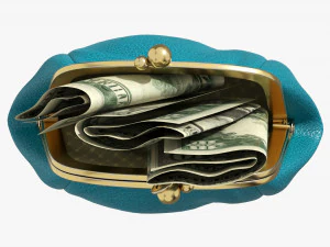 Female Purse With Banknotes 3D Model