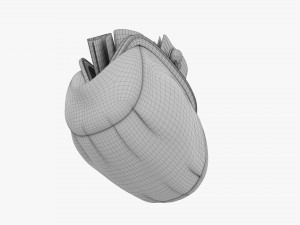 Female Purse With Banknotes Modello 3D