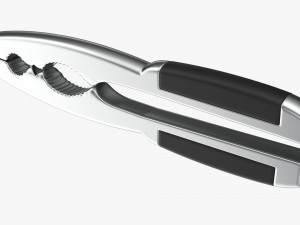 Nut Cracker 3D Model