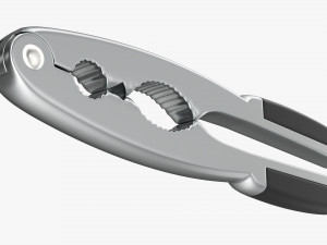 Nut Cracker 3D Model