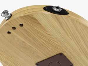 Acoustic 4-String Instrument 01 3D Model
