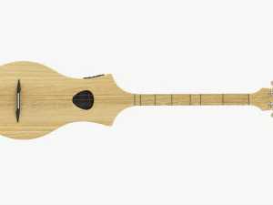 Acoustic 4-String Instrument 01 3D Model