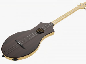 Acoustic 4-String Instrument 02 Modèle 3D