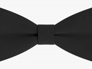Bow Tie 01 3D Model
