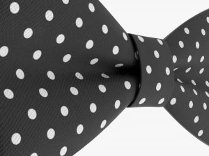 Bow Tie 02 3D Model