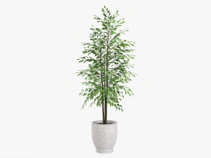 Potted Decorative Tree 02 3D Model