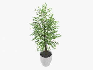 Potted Decorative Tree 02 Model 3D